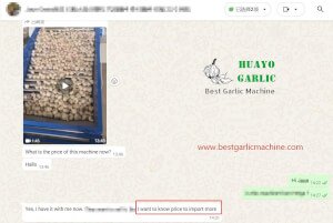 Garlic farmer like Garlic Bulb Grading Machine 