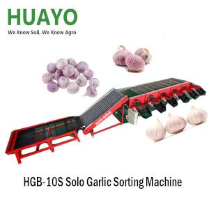 HGB-10S Single Clove Solo Garlic Grading Machine