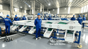 Garlic Grading Machine Manufacturer