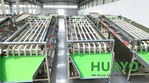 Garlic Bulb Grader