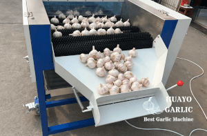 HGM-3 Garlic Brusher