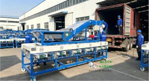 HUAYO Garlic Machine Delivery