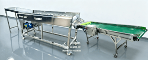 HGBC-3 Stainless Steel Garlic Brush Cleaner