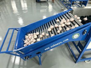 HGBM-3 Garlic Cleaning and Sorting Machine