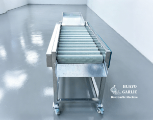 HGBC-3 Stainless Steel Garlic Brush Cleaner