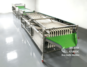 HGBC-3 Stainless Steel Garlic Brush Cleaner