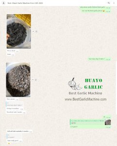 Black Garlic Machine feedback