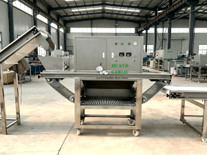 HGP-500 Automatic Garlic Breaking and Peeling Line