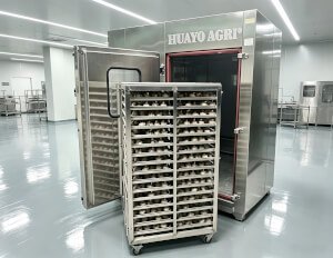 HGFM-600 Black Garlic Machine