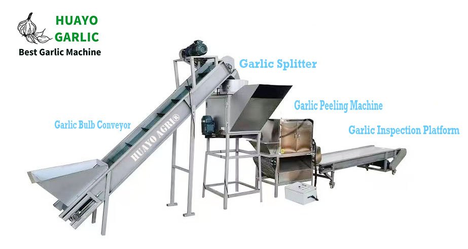 HGP-500T Automatic Garlic Splitting and Peeling Machine - Best Garlic ...