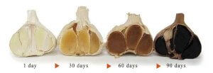 black garlic