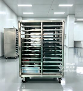 HGFM-600 Black Garlic Machine