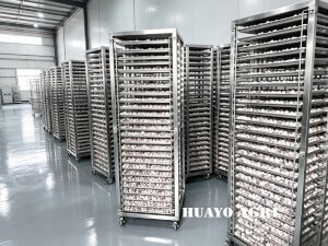 HGFM-1500 Black Garlic machine