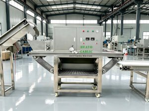 HUAYO Garlic peeling machine