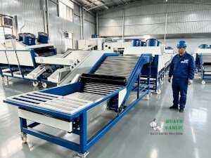 HUAYO Garlic Grading Machine