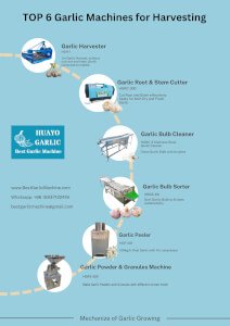 TOP 6 Garlic Machines for Harvesting