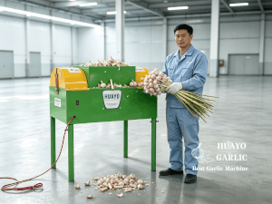 HGRC-600 Garlic Cutter