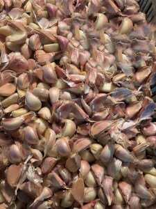 Peeled garlic seed